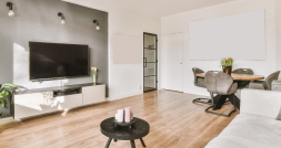 Living room doors