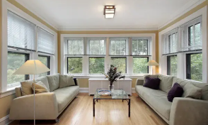 Windows for the living room