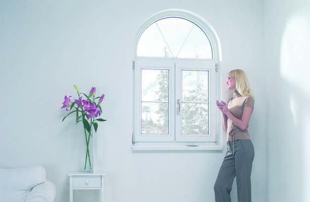 pvc windows with bars