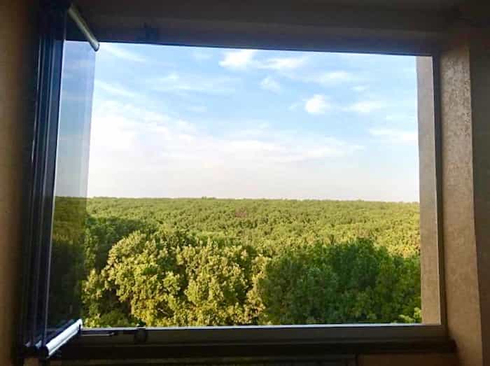 panoramiczny widok na zielony las przez otwarty system bezramowego szklenia