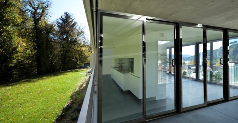 Aluminum doors